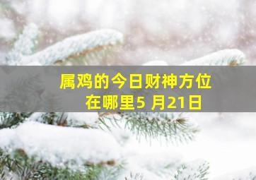 属鸡的今日财神方位在哪里5 月21日